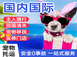 三沙永兴空运地址国际宠物托运 【国